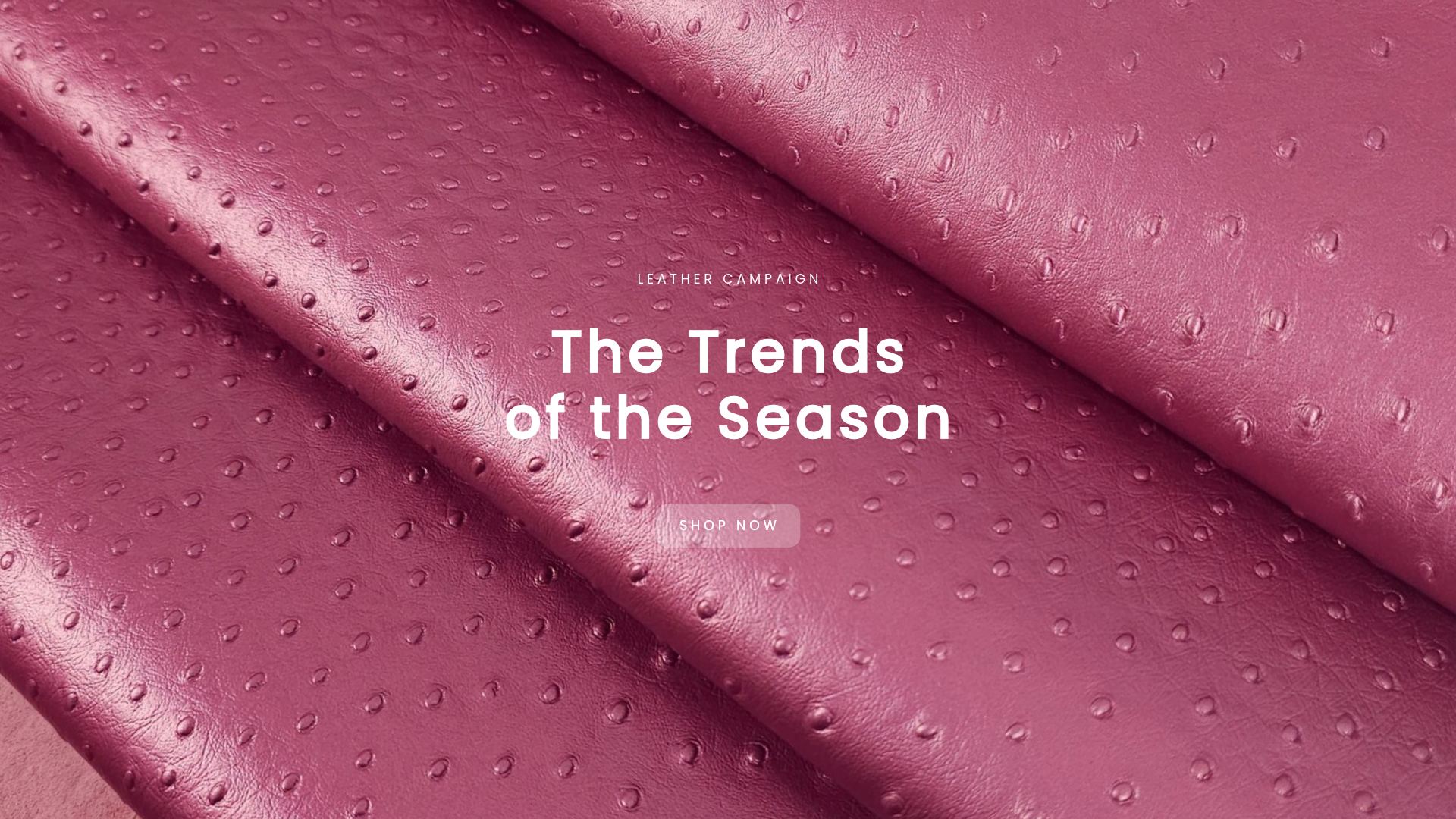 Trends